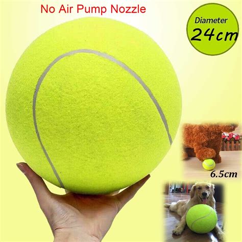 racquetball balls for dogs
